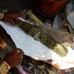 ETHIOPIA (AMHARA)